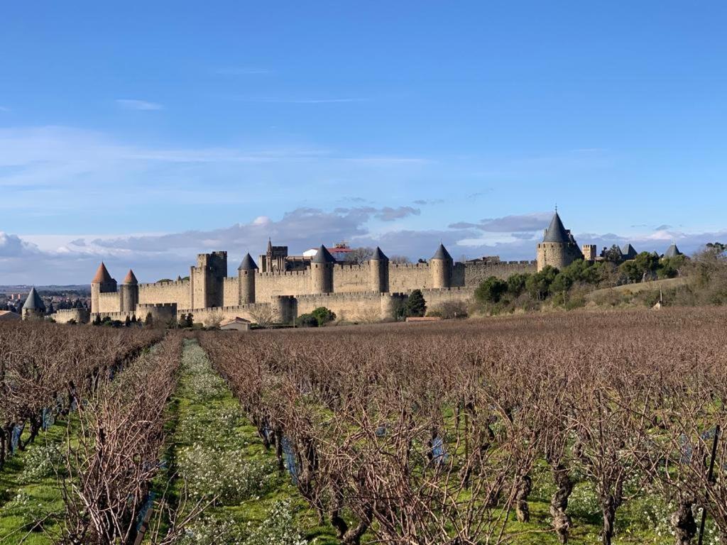 La Cour Carree - Chambres D'Hotes Carcassonne Exterior photo